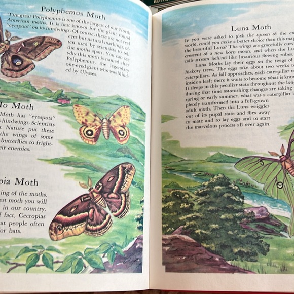 Vintage The Wonders of Nature Hardcover Book 1974 Coffee Table Book oversized - Picture 9 of 16